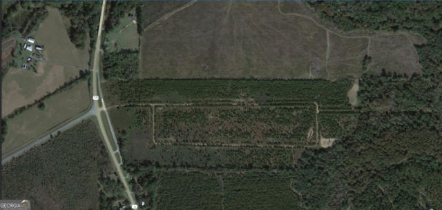 0 SILVER CREEK ROAD # LOT 10, HAWKINSVILLE, GA 31036 - Image 1