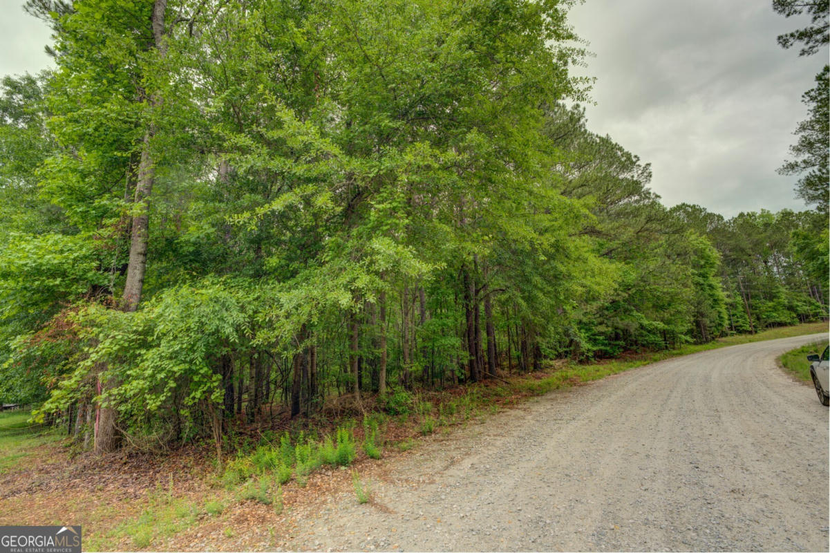 0 JEFFERIES ROAD TRACT A 32.55, SHADY DALE, GA 31085, photo 1 of 6