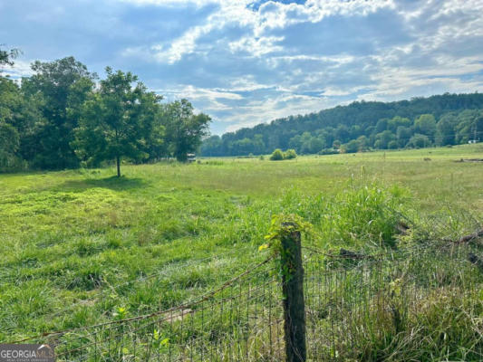 67 ACRES OLD HWY 64, WARNE, NC 28909, photo 4 of 31