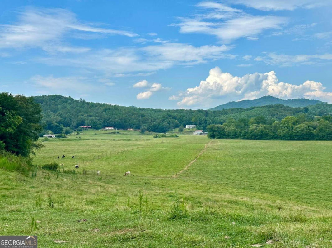 67 ACRES OLD HWY 64, WARNE, NC 28909, photo 1 of 31