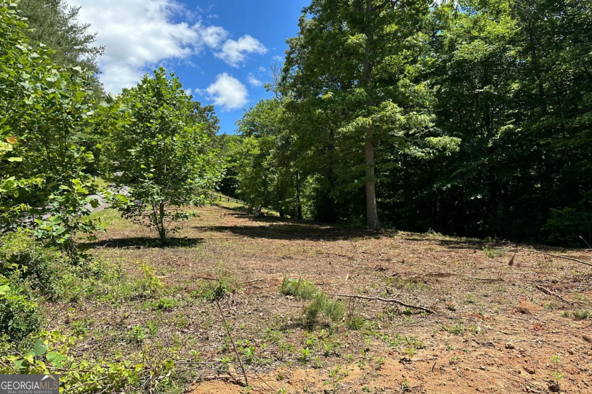 LOT 8 MOORE ACRES # 8, HAYESVILLE, NC 28904, photo 1 of 24
