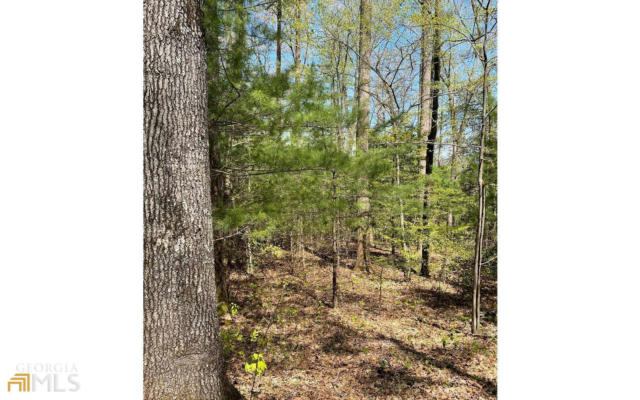 0 SOAPSTONE CREEK CIRCLE # LOT 5, HIAWASSEE, GA 30546, photo 4 of 29