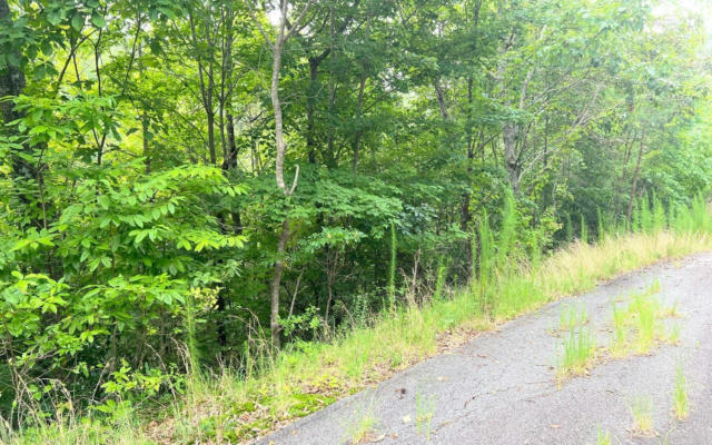 LOT 8 PRESERVE AT BEACH MOUNTAIN, BRASSTOWN, NC 28902, photo 4 of 16