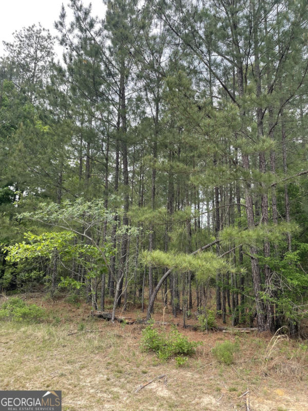 0 GREY WOLF TRL # LOT 143, DUBLIN, GA 31021, photo 1 of 4