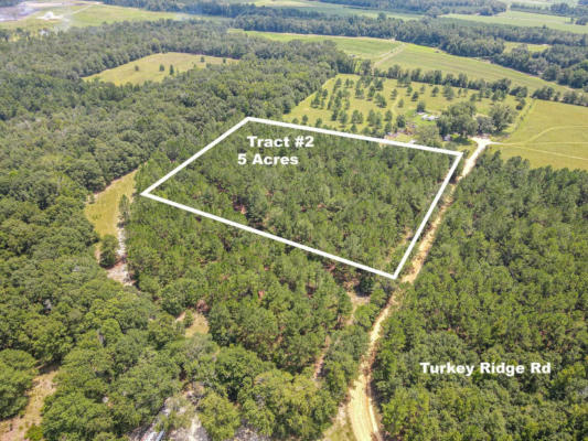 TRACT TWO AND T TURKEY RIDGE ROAD, METTER, GA 30439, photo 2 of 61
