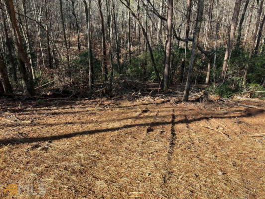 LOT 15 MINERAL SPRINGS ROAD, BALL GROUND, GA 30107, photo 4 of 27