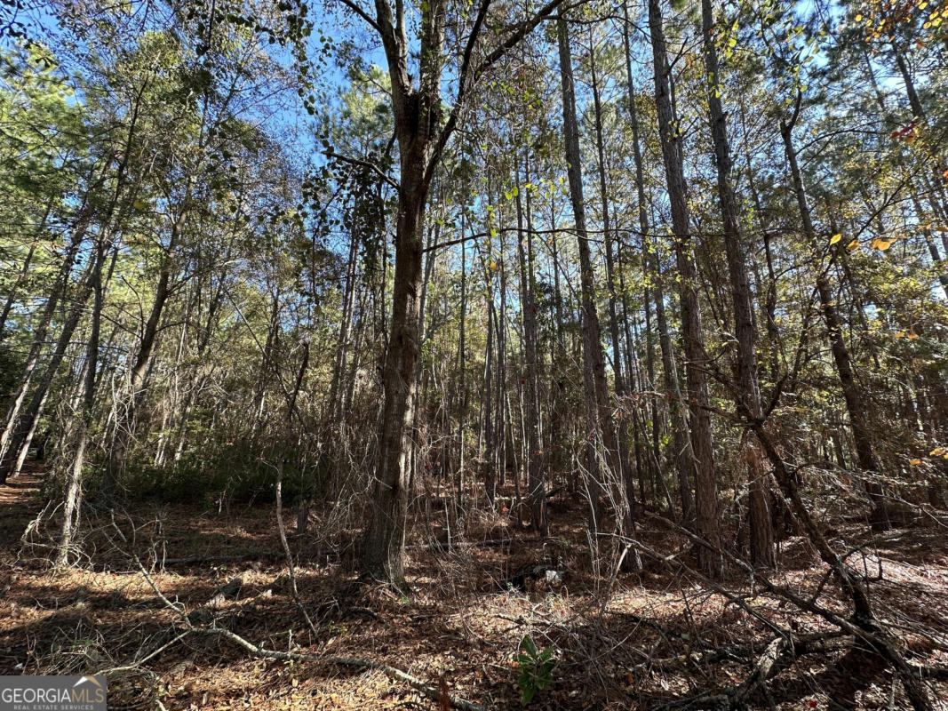 LOT 22 COCHRAN HIGHWAY, EASTMAN, GA 31023, photo 1 of 4