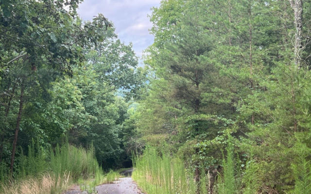 LOT 8 PRESERVE AT BEACH MOUNTAIN, BRASSTOWN, NC 28902, photo 3 of 16