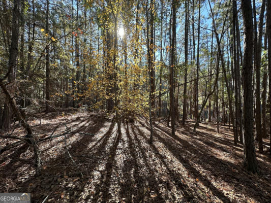 LOT 22 COCHRAN HIGHWAY, EASTMAN, GA 31023, photo 2 of 4