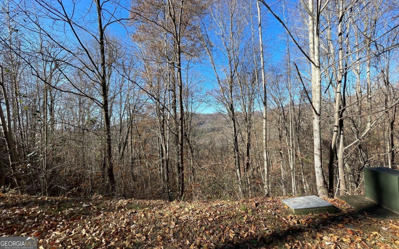 LOT 36M MOUNTAIN HARBOUR, HAYESVILLE, NC 28904, photo 1 of 31
