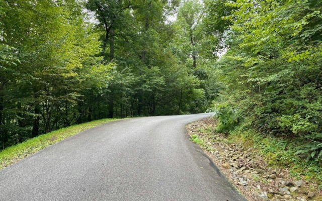 LOT 7 BEAR TRAIL, HIAWASSEE, GA 30546, photo 3 of 11