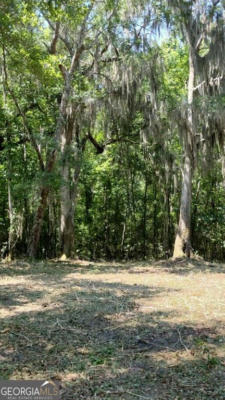 0 BRIAR PATCH LOT #28 PLACE, TOWNSEND, GA 31331 - Image 1