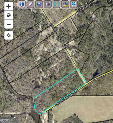 9.59 AC JARRIEL'S BRIDGE SPUR ROAD, COLLINS, GA 30421 - Image 1