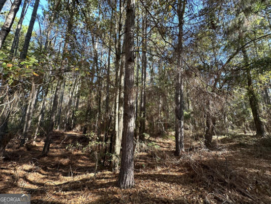 LOT 22 COCHRAN HIGHWAY, EASTMAN, GA 31023, photo 4 of 4