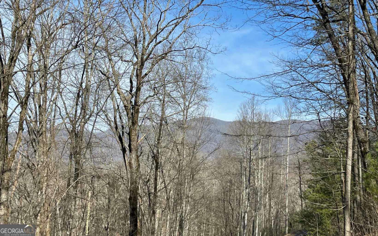 0 SKYVIEW AT WILDLIFE ACRES # LOT 8, HAYESVILLE, NC 28904, photo 1 of 23