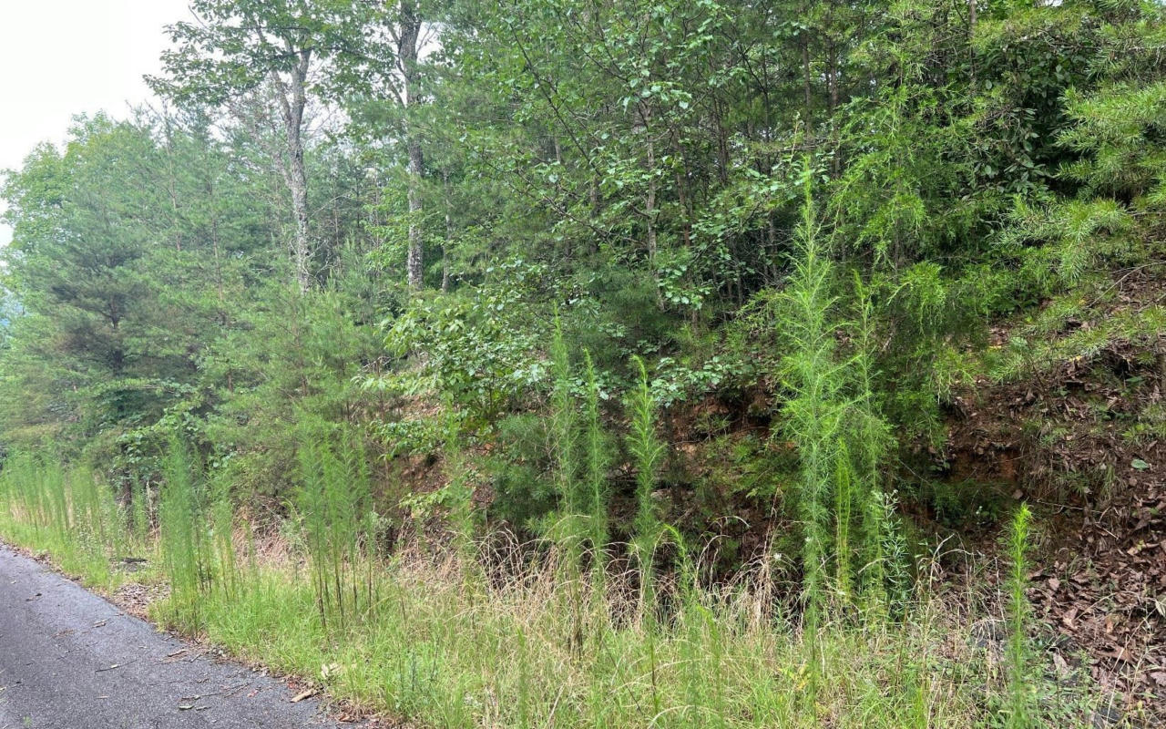 LOT 8 PRESERVE AT BEACH MOUNTAIN, BRASSTOWN, NC 28902, photo 1 of 16