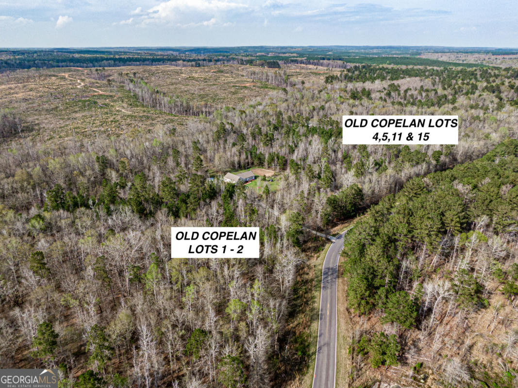 LOT 2 OLD COPELAN RD # LOT 2, EATONTON, GA 31024, photo 1 of 5