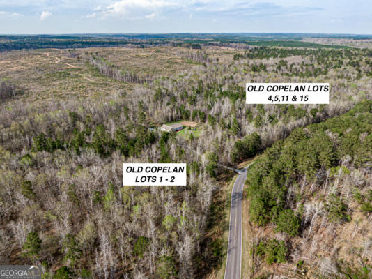 LOT 2 OLD COPELAN RD # LOT 2, EATONTON, GA 31024 - Image 1