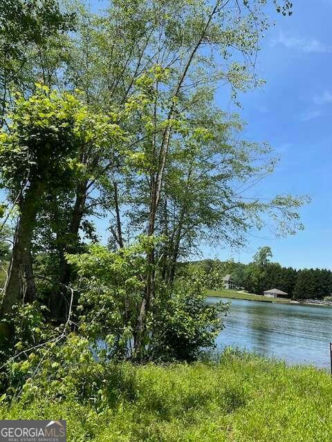 LOT 3A TRANQUIL POINTE, HIAWASSEE, GA 30546, photo 1 of 7