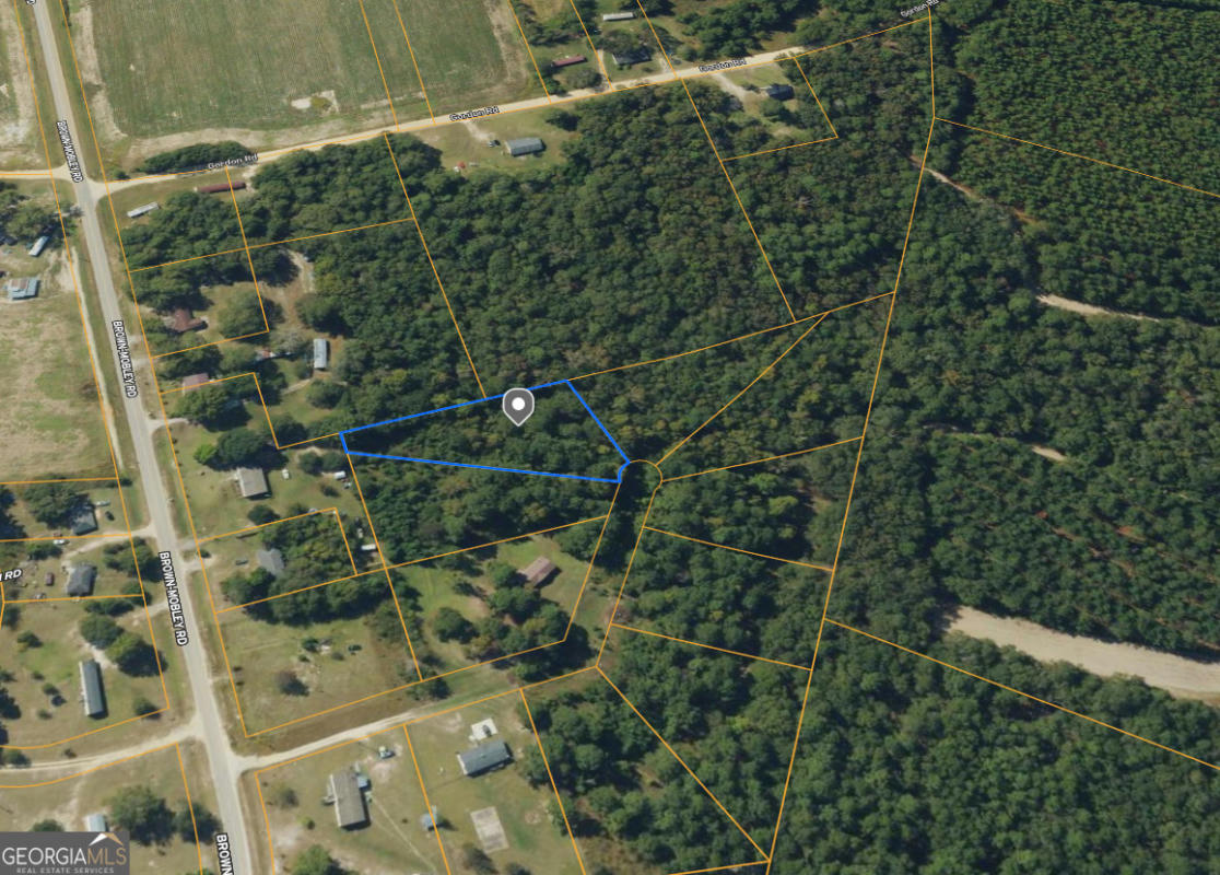 LOT25 JAMAICA ROAD, SARDIS, GA 30456, photo 1 of 7