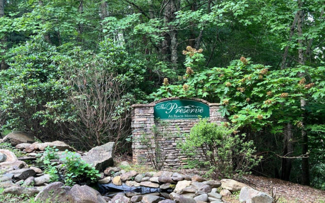 LOT 13 PRESERVE AT BEACH MOUNTAIN, BRASSTOWN, NC 28902, photo 4 of 18