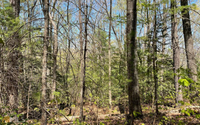 0 SOAPSTONE CREEK CIRCLE # LOT 5, HIAWASSEE, GA 30546, photo 5 of 29