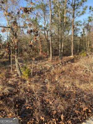 0 ROBERT CHAPEL CEMETERY ROAD, GLENNVILLE, GA 30427, photo 2 of 6