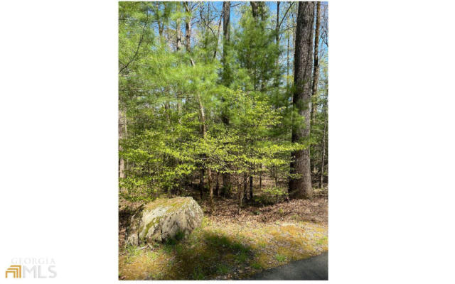 0 SOAPSTONE CREEK CIRCLE # LOT 5, HIAWASSEE, GA 30546, photo 3 of 29