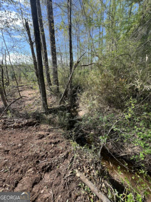TRACT D 5 ACRES BOGGUS, FRANKLIN, GA 30217, photo 4 of 5