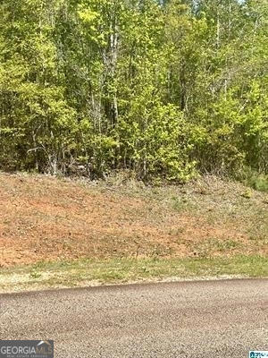 LOT 31 13TH COURT, LANETT, AL 36863, photo 1 of 3