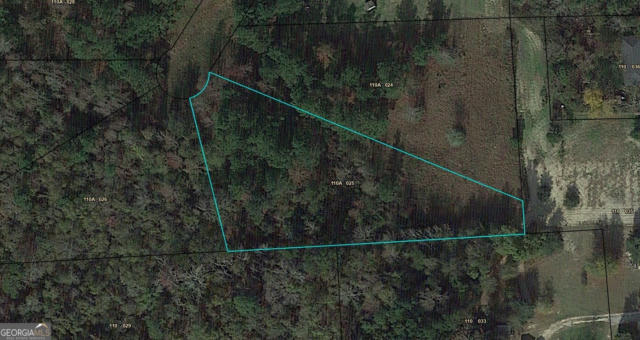 LOT25 JAMAICA ROAD, SARDIS, GA 30456, photo 4 of 7