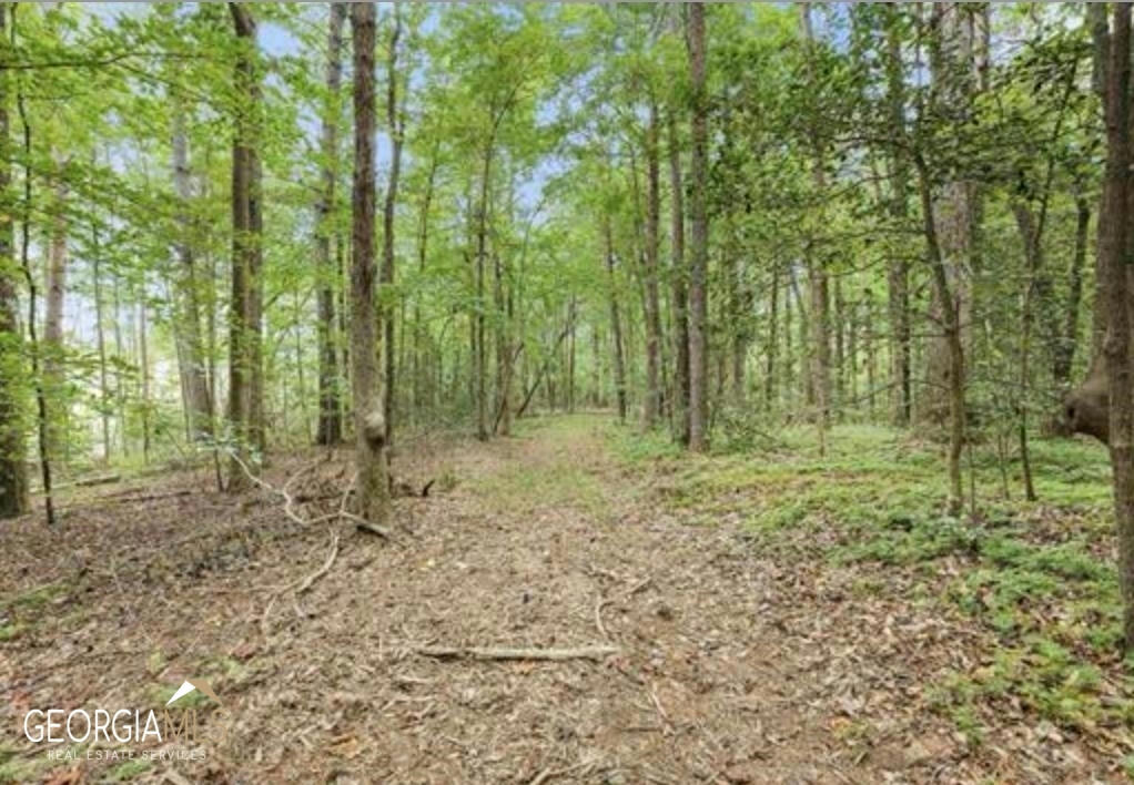 LOT 6 PARKER POINT, CORNELIA, GA 30531, photo 1 of 5