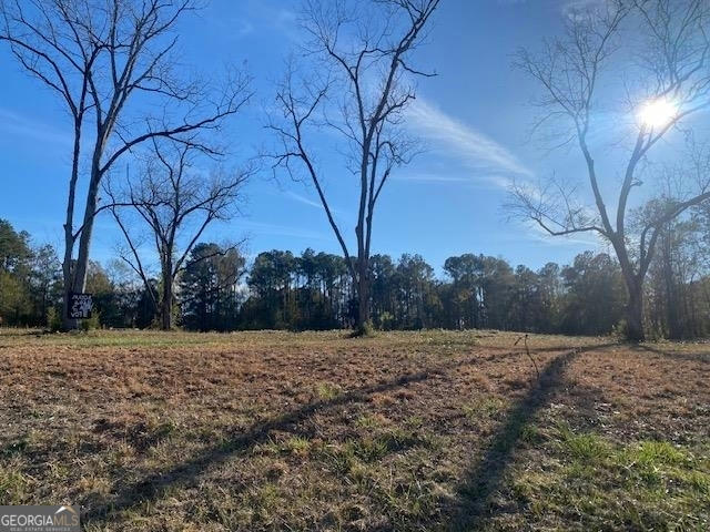 4 ACRES CHERRY DRIVE, LANETT, AL 36863, photo 1 of 7