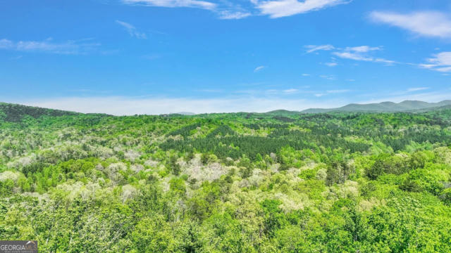 LOT 16 LOOKOUT VALLEY TRAIL, TALKING ROCK, GA 30175, photo 5 of 5