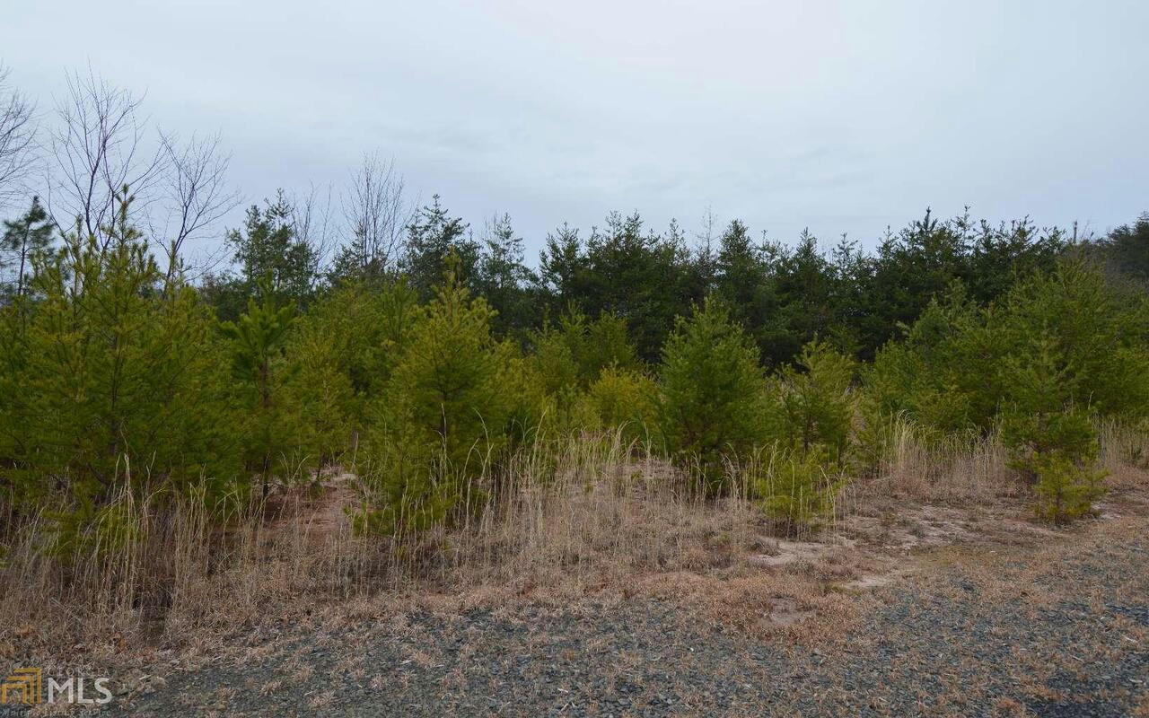 LOT 2 PRESERVE AT BEACH MOUNTAIN, HAYESVILLE, NC 28904, photo 1 of 8