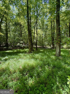 1.05 ACRES HEIDI TRL, BUCKHEAD, GA 30625, photo 4 of 14