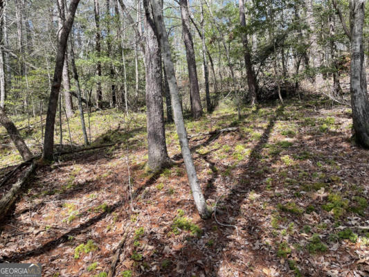 LOT 42 HIDDEN LAKE DRIVE, CHERRY LOG, GA 30522, photo 4 of 5