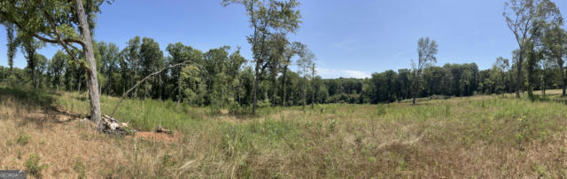 TRACT 3 COLDWATER ROAD, DEWY ROSE, GA 30634 - Image 1