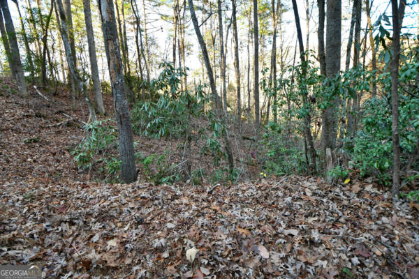 LOT 4 & 2B BLOWING WIND LANE, CLAYTON, GA 30525 - Image 1