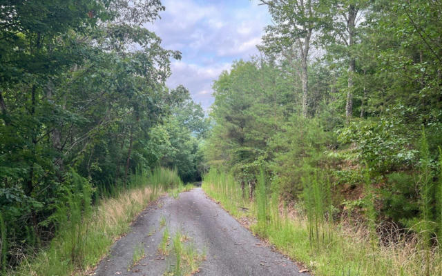 LOT 8 PRESERVE AT BEACH MOUNTAIN, BRASSTOWN, NC 28902, photo 2 of 16