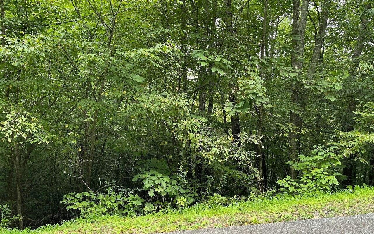 LOT 7 BEAR TRAIL, HIAWASSEE, GA 30546, photo 1 of 11