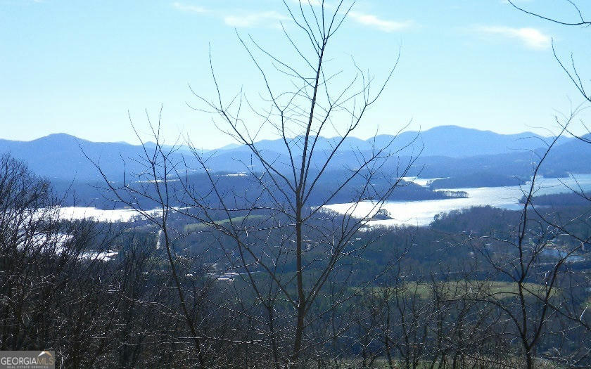 LOT 60M MOUNTAIN HARBOUR, HAYESVILLE, NC 28904, photo 1 of 10