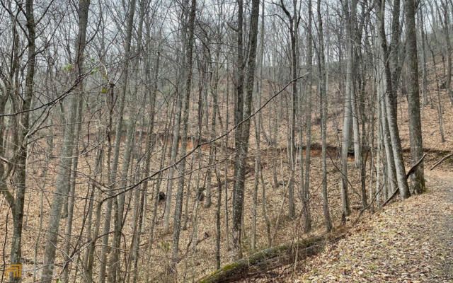 LOT 18 SHOOTING CREEK TRAILS, HAYESVILLE, NC 28904, photo 4 of 9