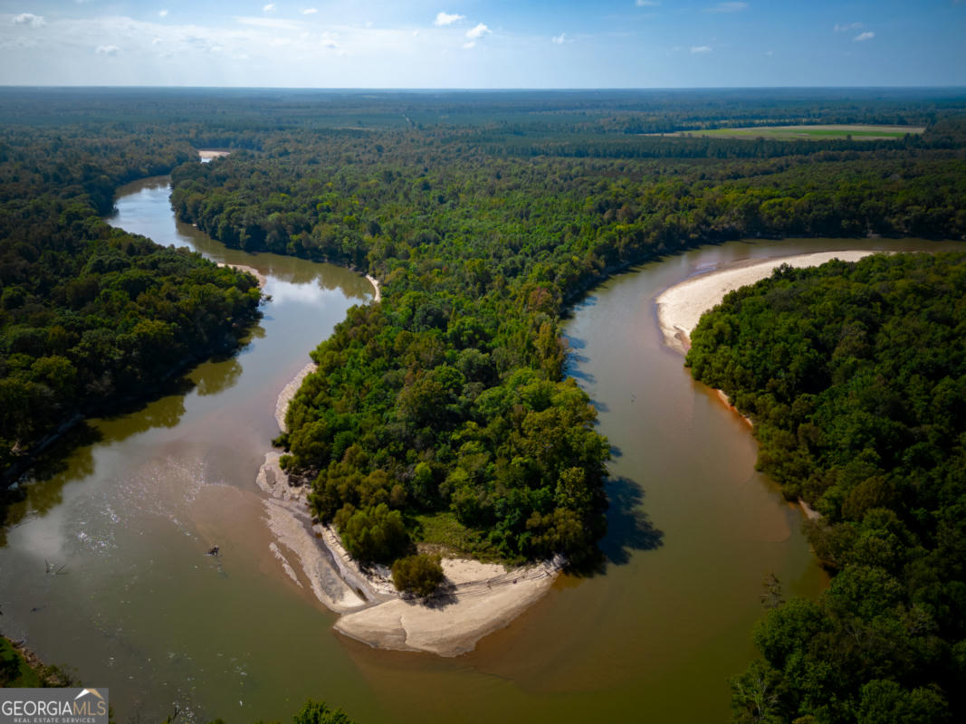 0 OCONEE RIVER, BELLS FERRY HIGHWAY, LUMBER CITY, GA 31549, photo 1 of 13