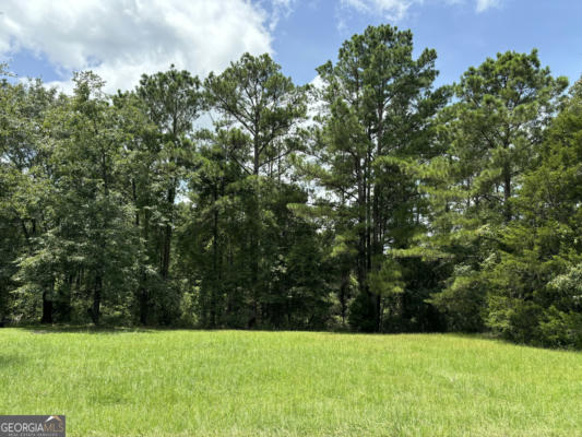 117 PINE HILL RD, CUSSETA, GA 31805 - Image 1