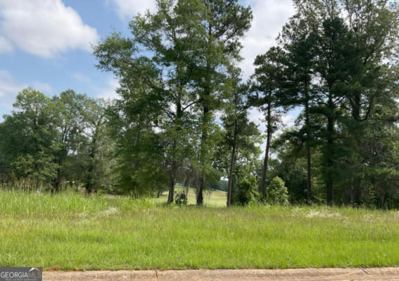 LOT 2 RIVER RIDGE DRIVE, HAWKINSVILLE, GA 31036 - Image 1