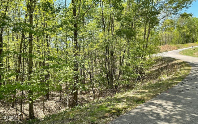 LOT 67 THE SANCTUARY AT VANCE MOUNTAIN, MURPHY, NC 28906, photo 4 of 29